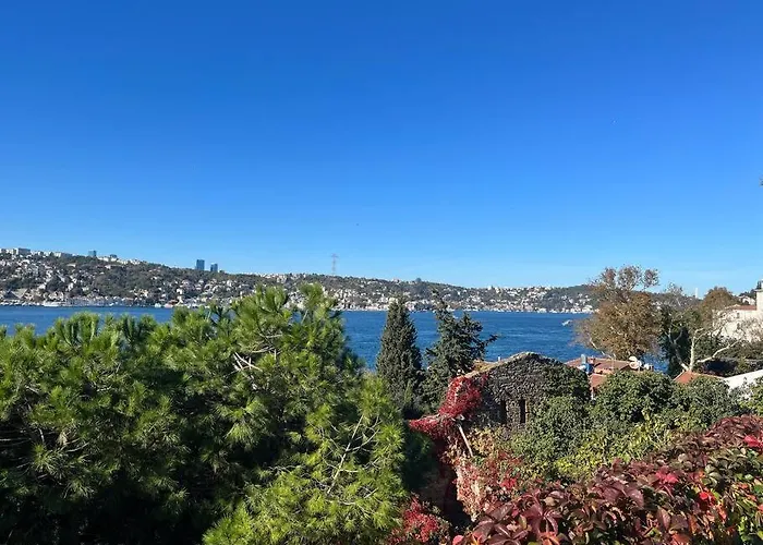 公寓 Bosphorus Waterfront Flat, Cengelkoey *